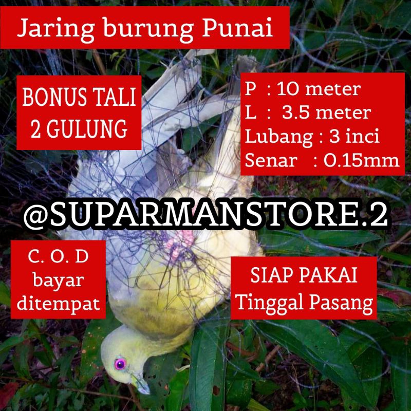 JARING BURUNG PUNAI 10 METER JARING BURUNG PUNAI 10X3M JARING BURUNG BESAR SIAP PAKAI JARING BURUNG 