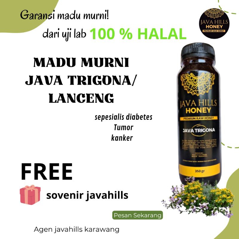 

madu lanceng / java trigona