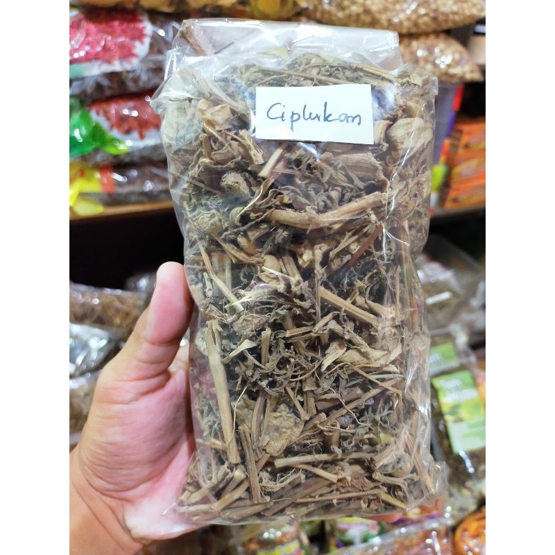 

daun ciplukan kering - daun kering oven - kualitas premium - bermanfaat menurunkan kolesterol - cocok untuk program diet - meningkatkan regenerasi sel tubuh - antioksidan - dll manfaat