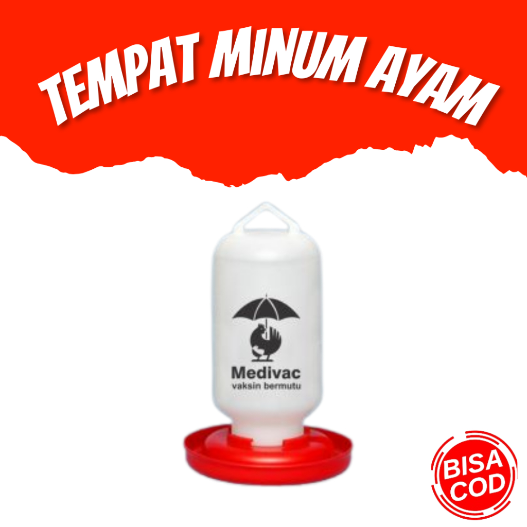 Tempat Minum Ayam Wadah Minum Ayam Tempat Makan Ayam Bangkok
