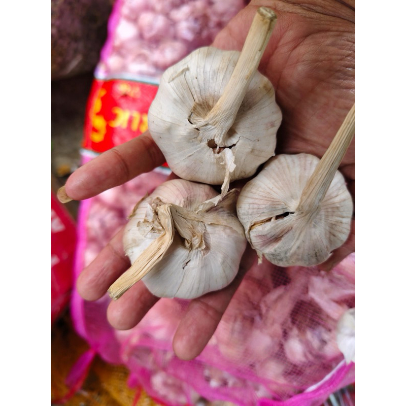 

bawang putih 1kg