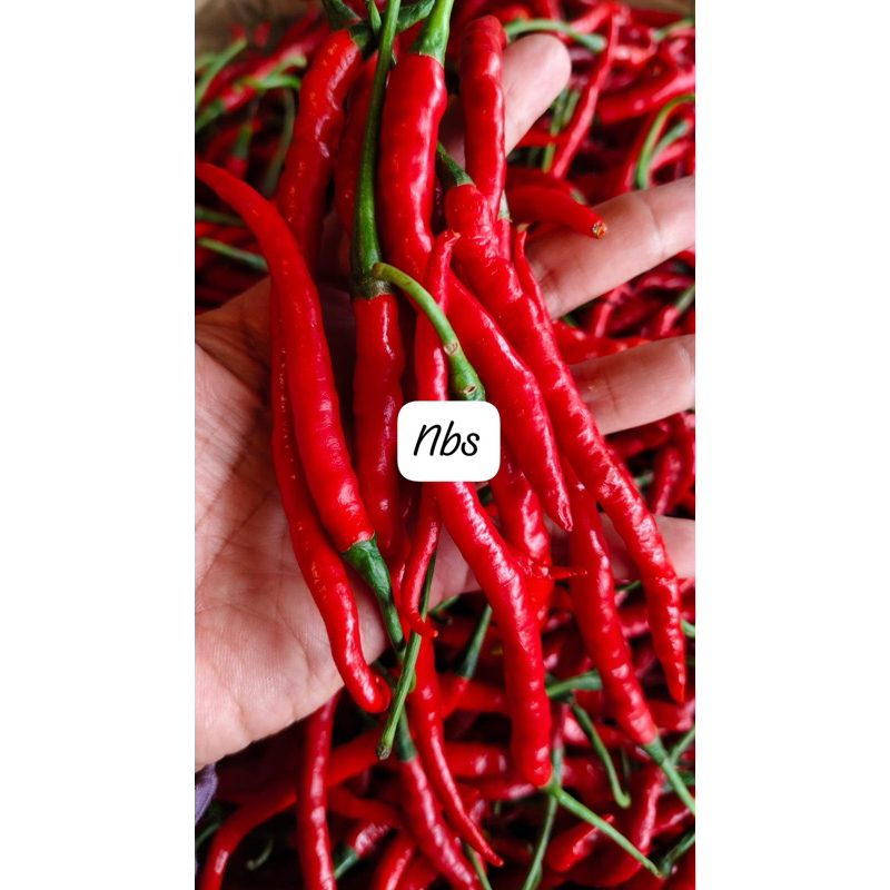 

cabe merah keriting 1kg