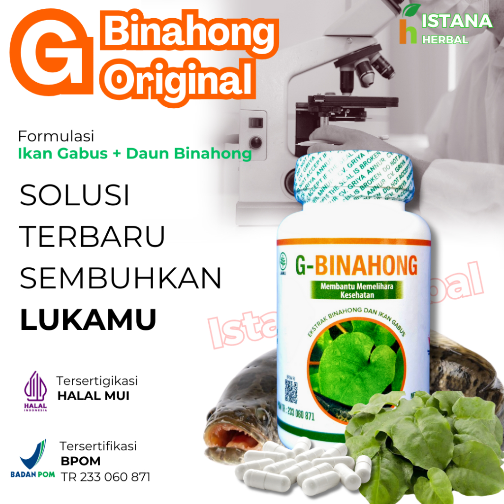 G Binahong Plus Ekstrak Ikan Gabus 50 Kapsul BPOM Original - Gbinahong Kapsul Kutuk Untuk Luka