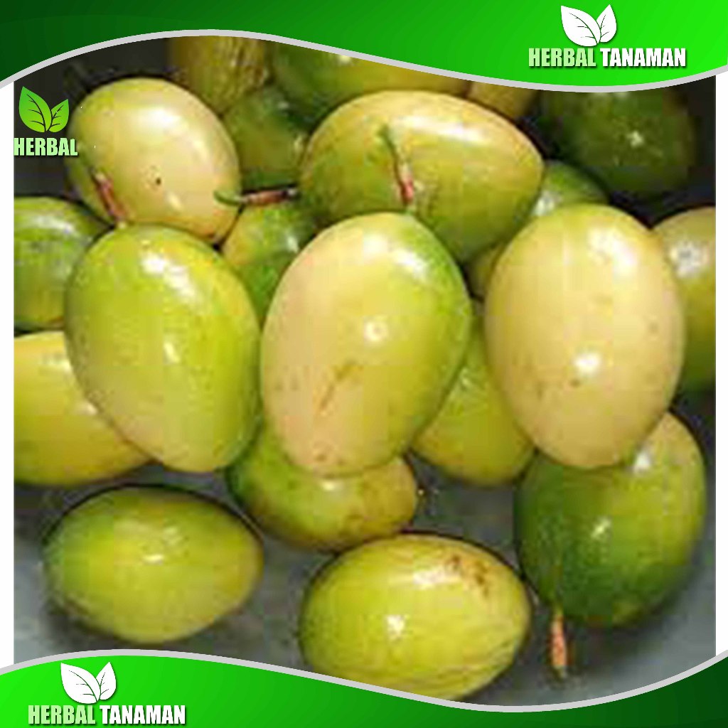 Buah Markisa Segar 1 kg - Markisa Kuning Matang