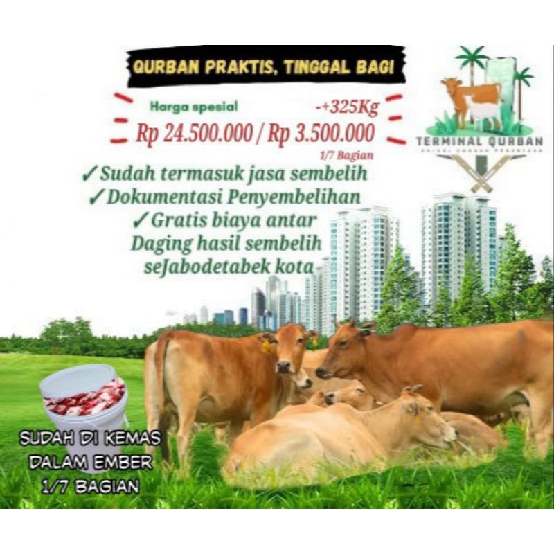 Promo Terminal Qurban Bilik Bambu " Sapi Tipe C kolektif 1/7 Bagian"