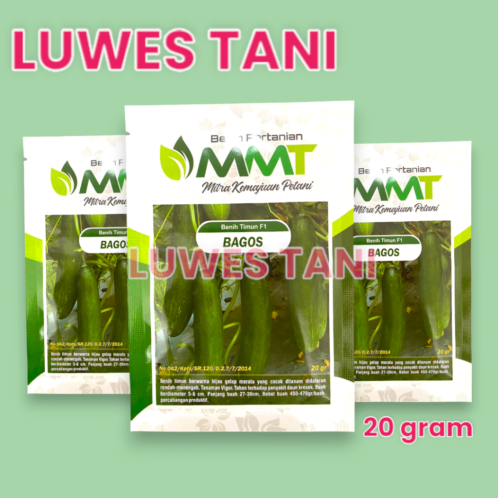 Benih Timun F1 BAGOS MMT SEED 20 Gram - Bibit Timun BAGOS BAGUS Ketimun Mentimun