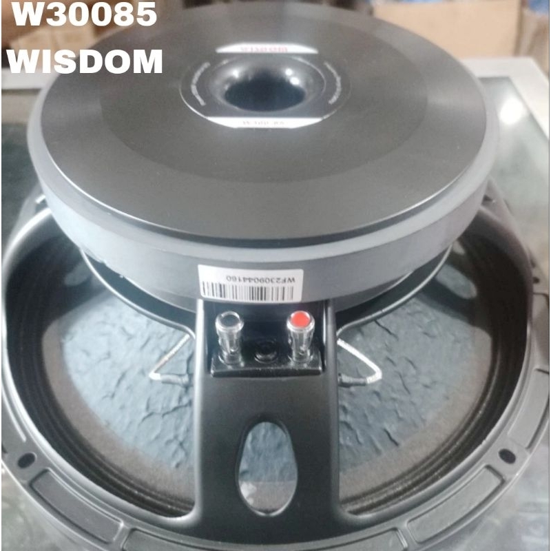 Komponen Speaker Wisdom 12 Inch W300-85 / Wisdom W 300 85