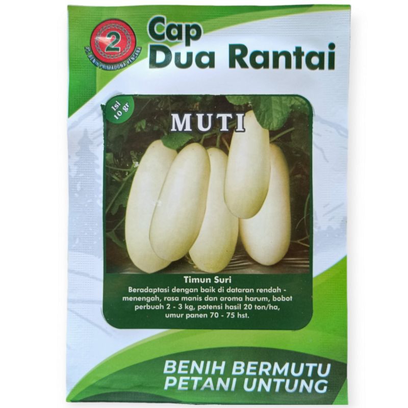 Bibit Benih Timun Suri Unggul MUTI Isi 10 Gram. Timun Suri Putih