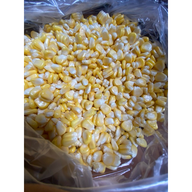 

jagung pipil