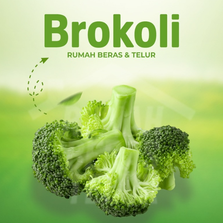 

Brokoli Segar