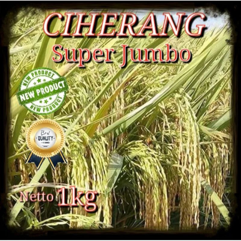 Benih Padi CIHERANG super jumbo kemasan 1kg