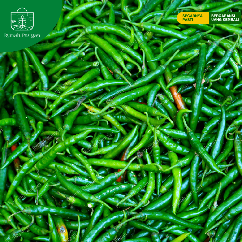 

Cabai / Cabe Hijau Besar - 500 gram
