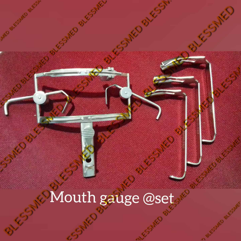 Dingman Mouth Gag Set Premium Quality