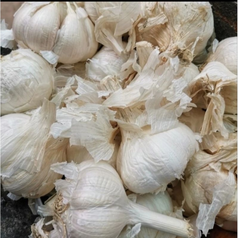 

bawang kating kotor 1kg