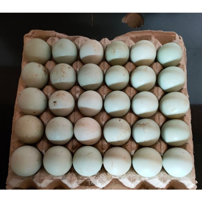 

telur bebek per rak / pampang online