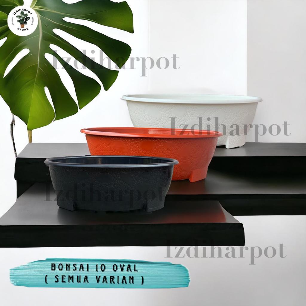 Pot Bunga Tanaman Bonsai 10 Oval 50 Cm Bahan Tebal - BJ BONSAI OVAL 10