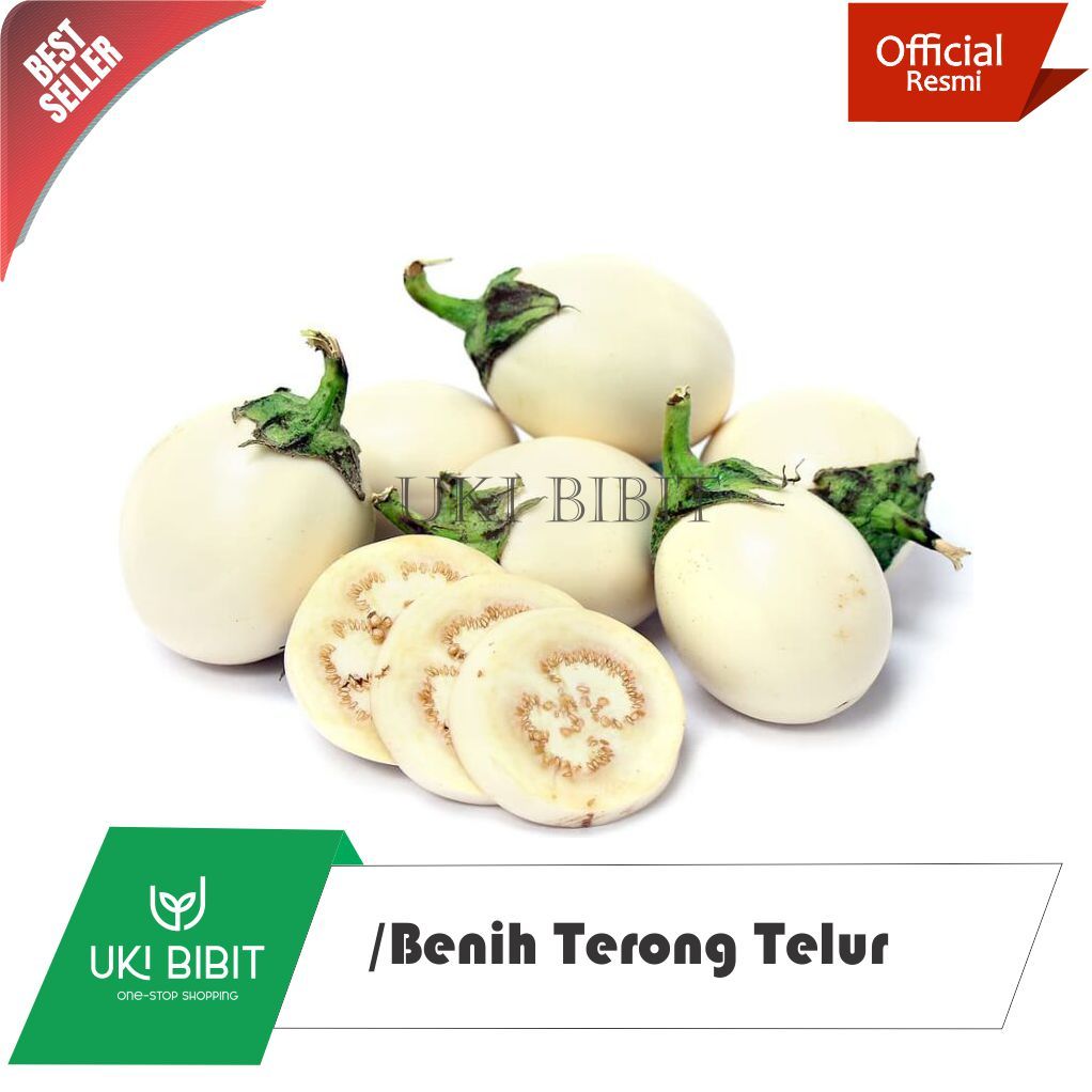 ( 10 Butir ) Benih Terong Telur | Terong Susu Unik | Terong Bulat Putih