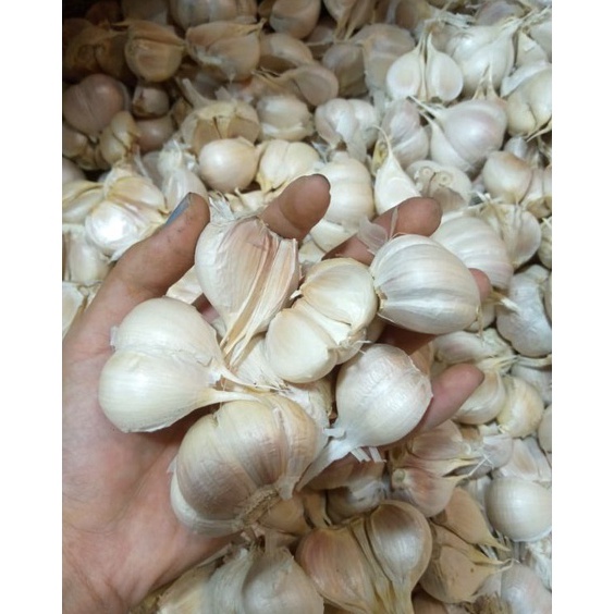 

KODE PRODUK PRIKJ8467 Bawang Putih Kating Bersih 1kg
