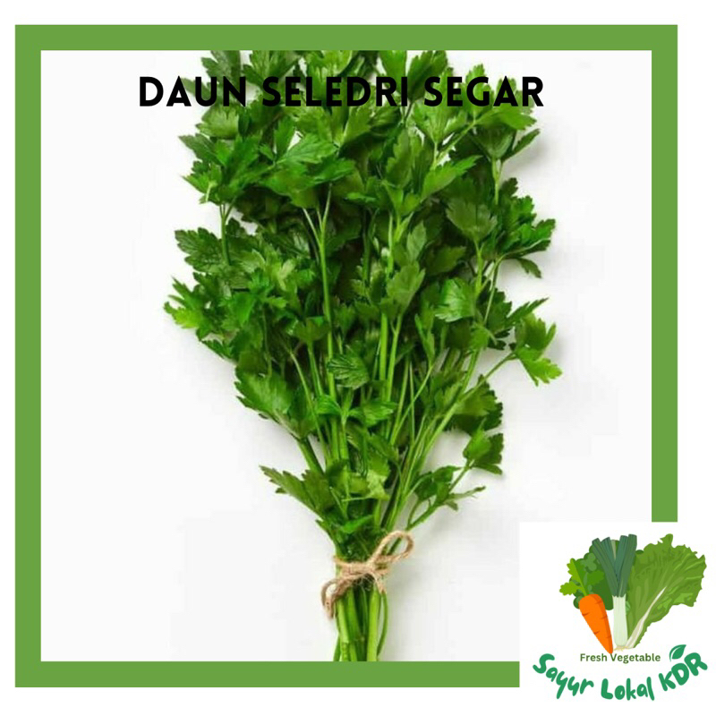 

• DAUN SELEDRI SEGAR BERSIH 1ikat 100GR
