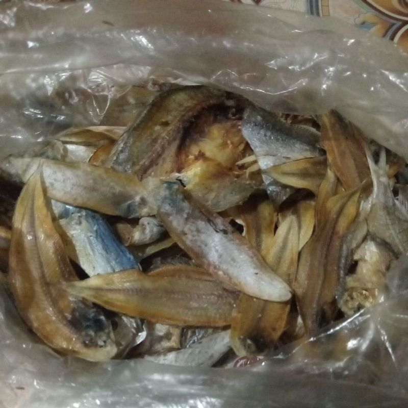 

Ikan asin ikan teri ikan gabus ikan cucut ikan tengeri ikan layang ikan jamblung ikan