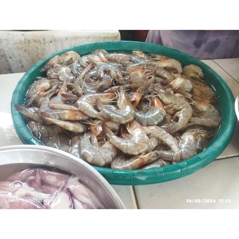 

Udang vaname besar (Kira kira 25 ekor/ kg)