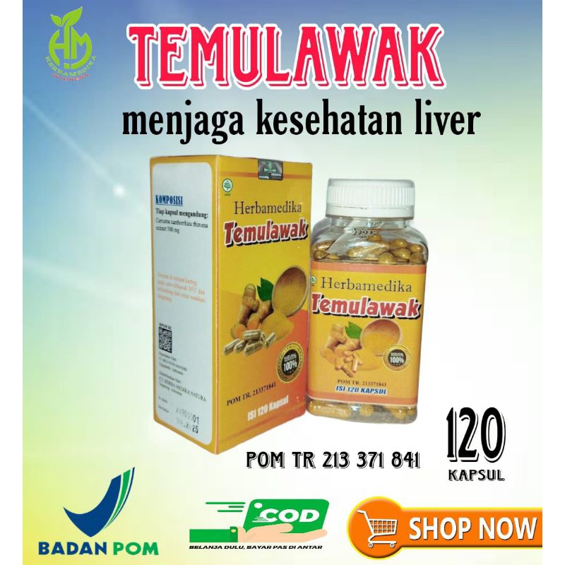 

temulawak isi 120