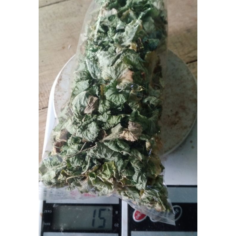 

DAUN HERBAL ANTANAN KERING PEGAGAN KERING 15 GRAM