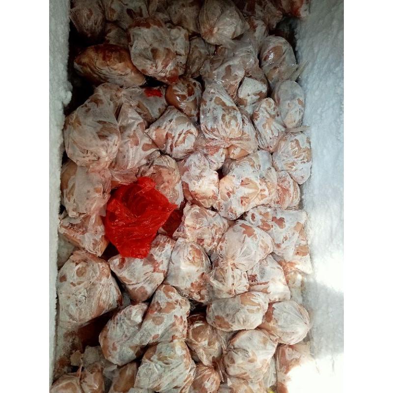 

frozen food ayam utuh dan potong