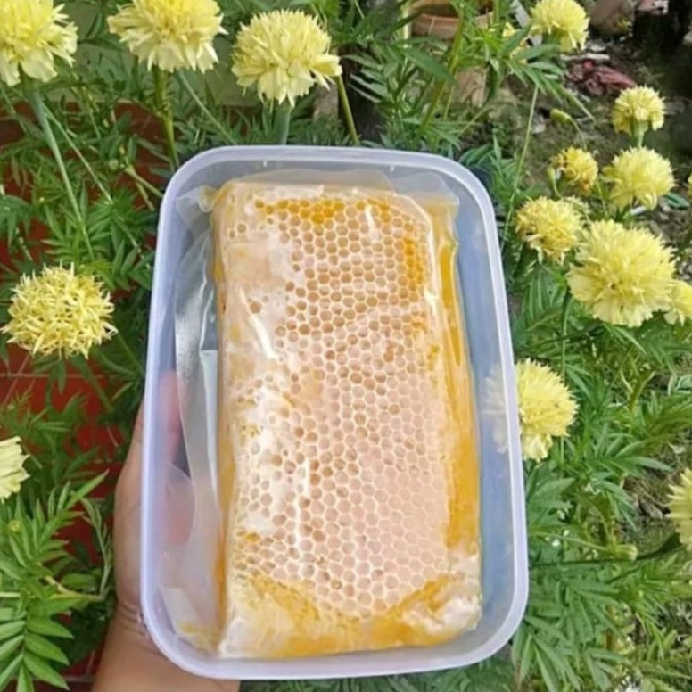 

KODE PRODUK KPWJ8281 Madu Sarang Melivera Murni Madu Asli Murni Sarang Madu Asli