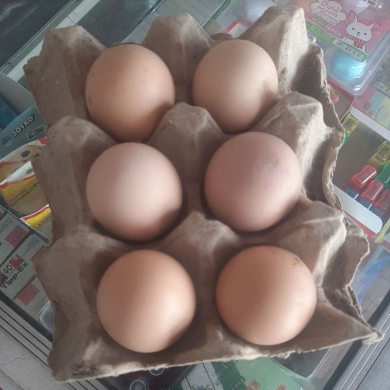 

TelurAyamKampung/TelurFertilKub/TelurJamu/TelurKampungKonsumsi