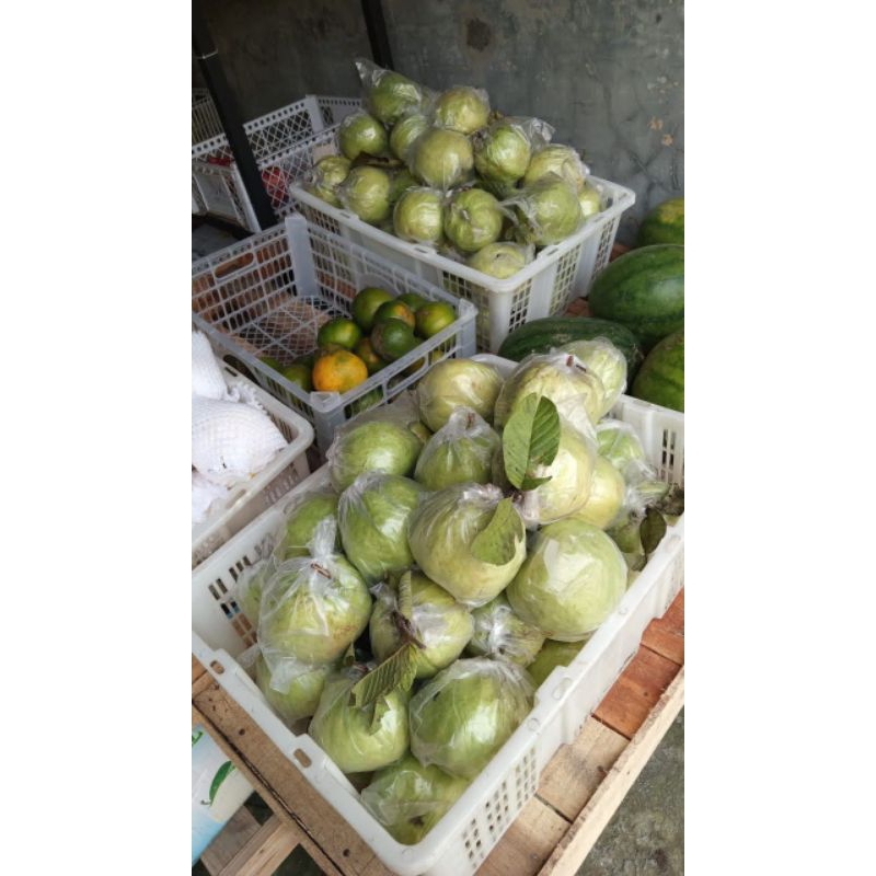 

jambu kristal 1kg