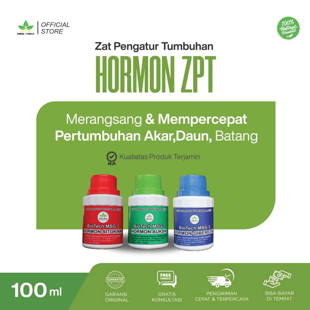 Paket Hormon Tanaman Auksin Giberelin Sitokinin