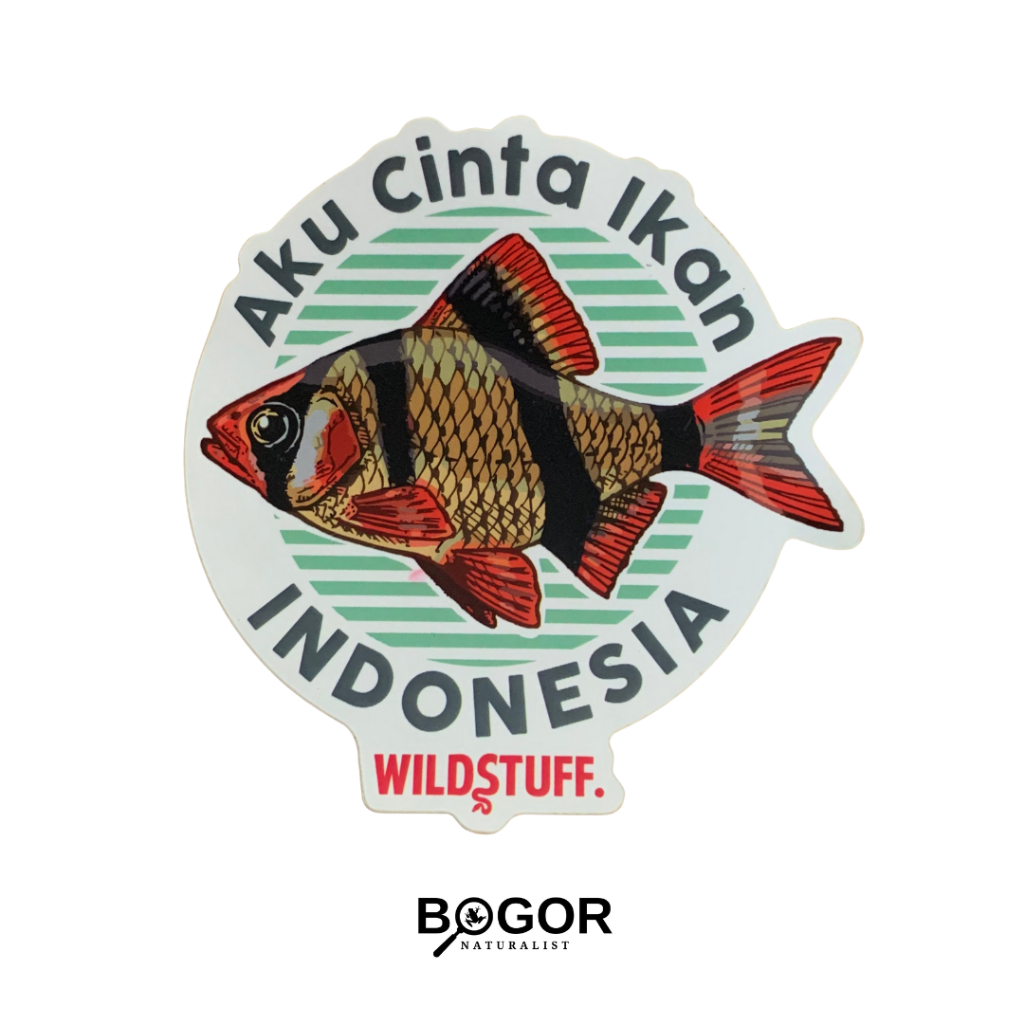 

Sticker Wildstuff Aku Cinta Ikan Indonesia Sumatra barb