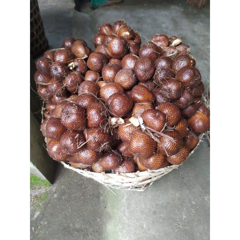 

Salak Pondoh Sleman Buah Salak Pondoh Super ( 900grm ~ 1kg ) Buah segar