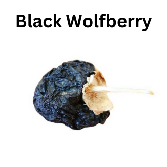 

Black Wolfberry | Goji Berry Hitam | Kici Hitam