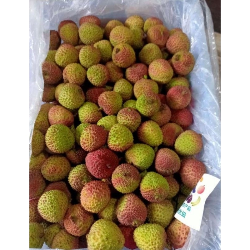 

Leci Madu Fresh 1kg / Lychee Malang Kota