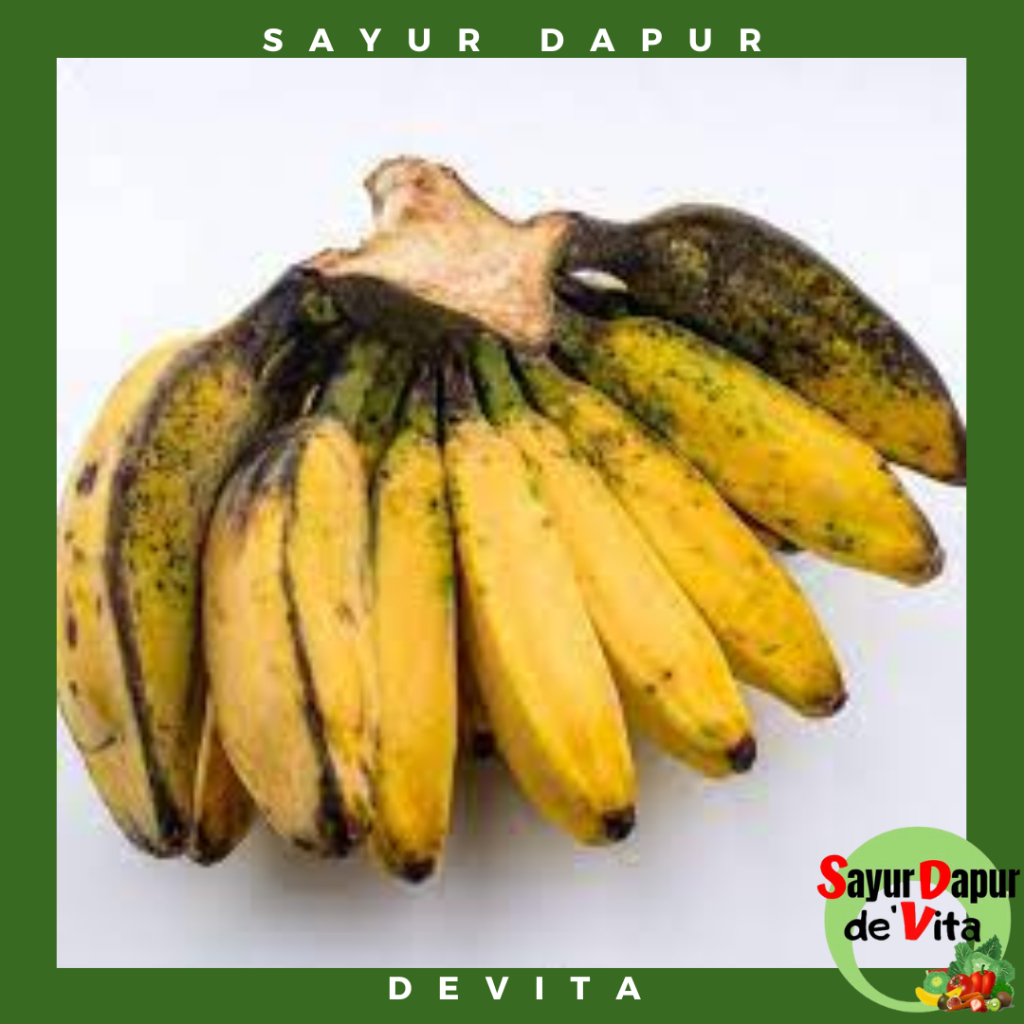 

Buah Pisang Kepok, pisang sobo 1 sisir