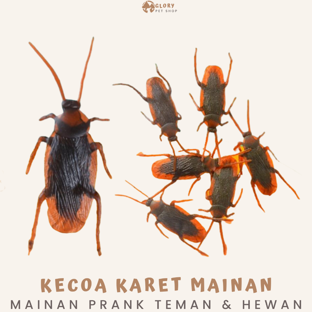 KECOA MAINAN PLASTIK KECOAK PALSU KARET PRANK MIRIP ASLI KUCING