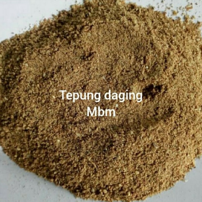 

Terkini Tepung Daging MBM 87