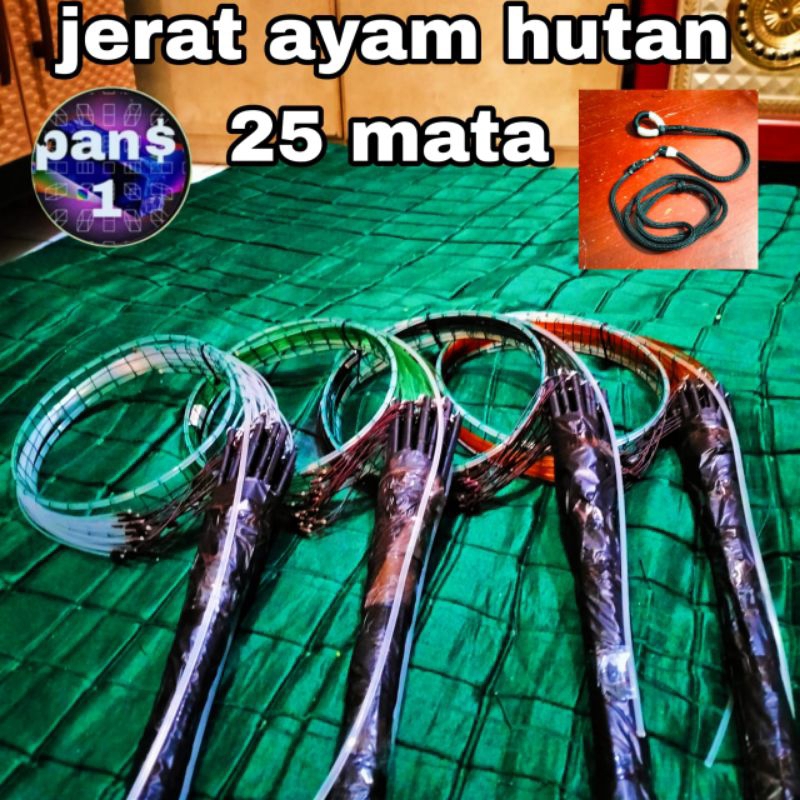 jerat ayam hutan 25 mata