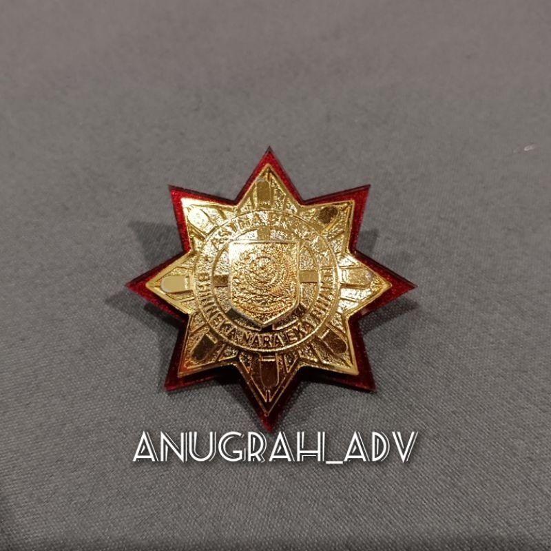 

pin purna IPDN pin ASTHA BRATA kuningan sepuh emas lapis acrylic merah - magnet