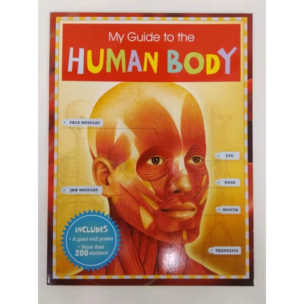 My Guide To The Human Body