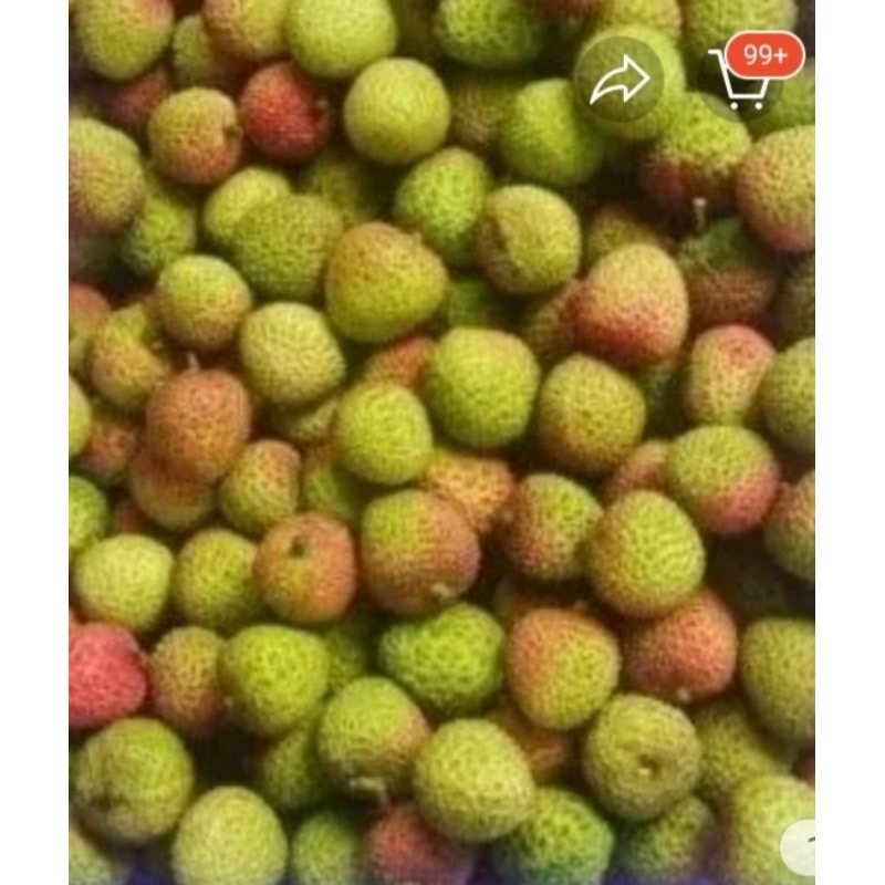 

Buah Leci madu Fresh manis segar (500 gram)