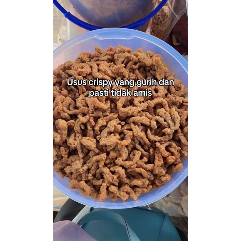 

usus ayam crispy