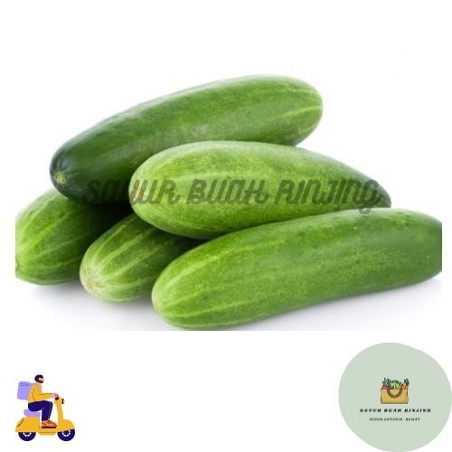 

INSTANT TIMUN / TIMUN SEGAR / TIMUN LALAP / TIMUN