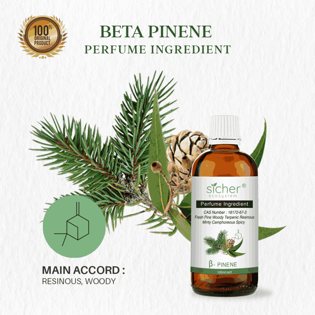 Sicher Natural Isolate Oil (Perfume Ingredient / RAW Material) Beta Pinene 100ml