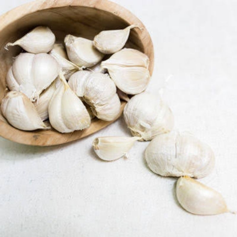 

Bawang putih kating 10 ribu