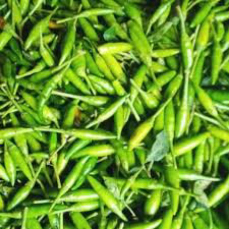 

cabe rawit ijo/250gram