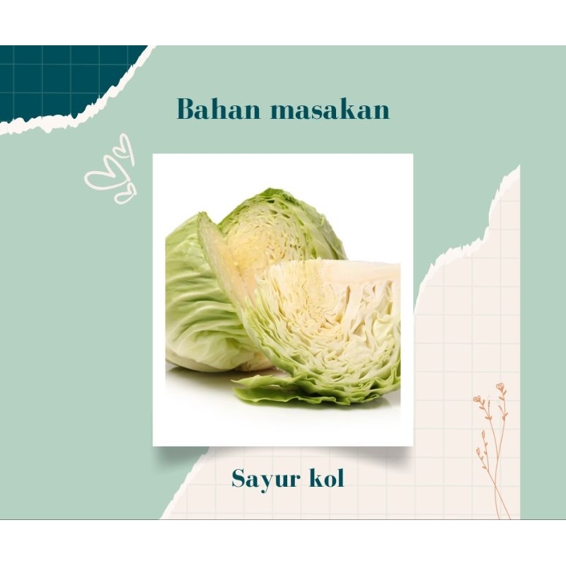 

SAYURAN DUA RATU PALEMBANG "sayur kol