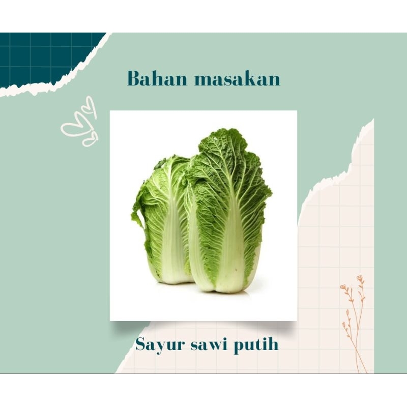 

Dua ratu sayuran "sayur sawi